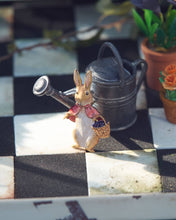 Load image into Gallery viewer, Peter Rabbit Cotton-tail Enamel Brooch by Fable England