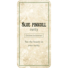 Load image into Gallery viewer, Mushroom Affirmation Cards