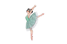 Load image into Gallery viewer, LaliBlue Classical Ballet Brooch