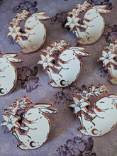 Load image into Gallery viewer, The Pickety Witch Starlight Rabbit Enamel Pin Betty Blossom Sydney