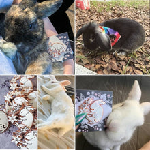 Load image into Gallery viewer, The Pickety Witch Starlight Rabbit Enamel Pin Betty Blossom Sydney